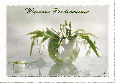 Wiosenne pozdrowienia przebiśniegi